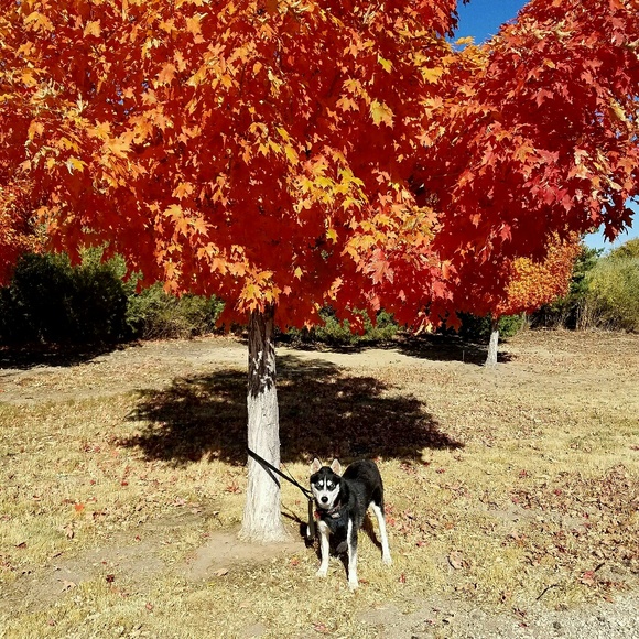 Meet your Posher, Laura - Picture 1 of 1